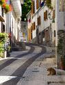 IMG_1000 copy